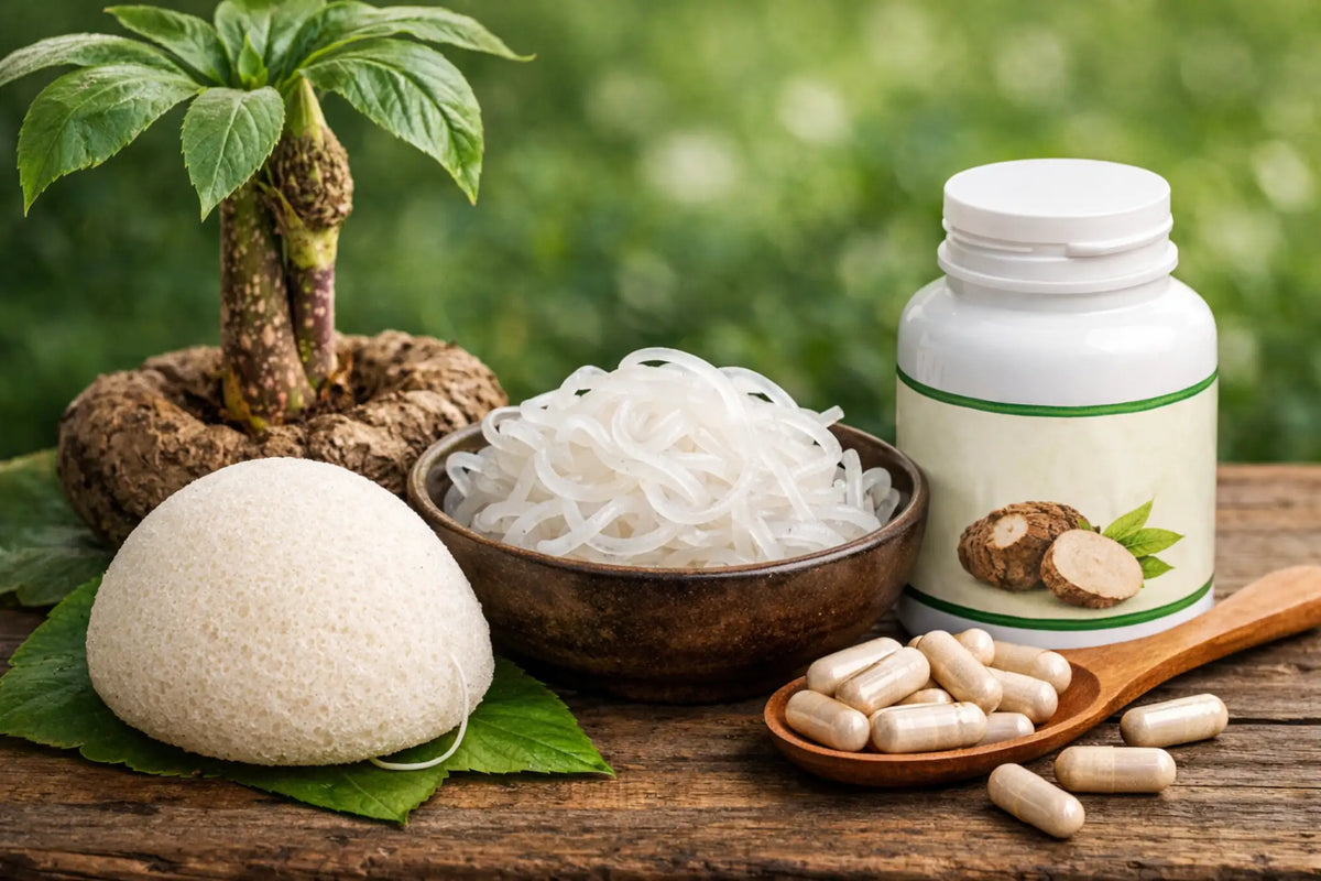 Produits konjac : éponge, spaghetti shirataki et gélules glucomannane