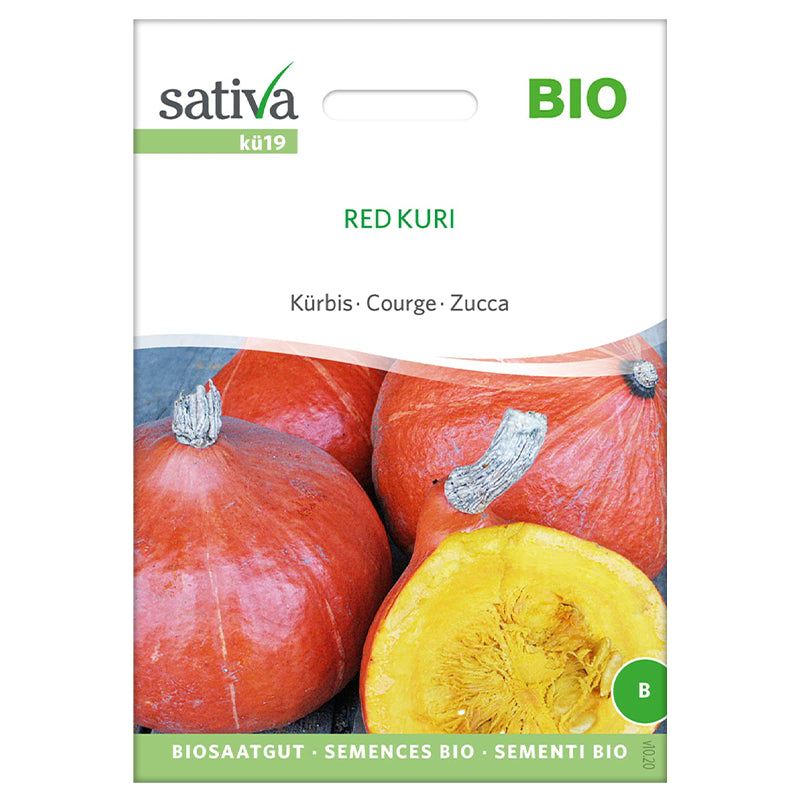 Semences red kuri courge BIO