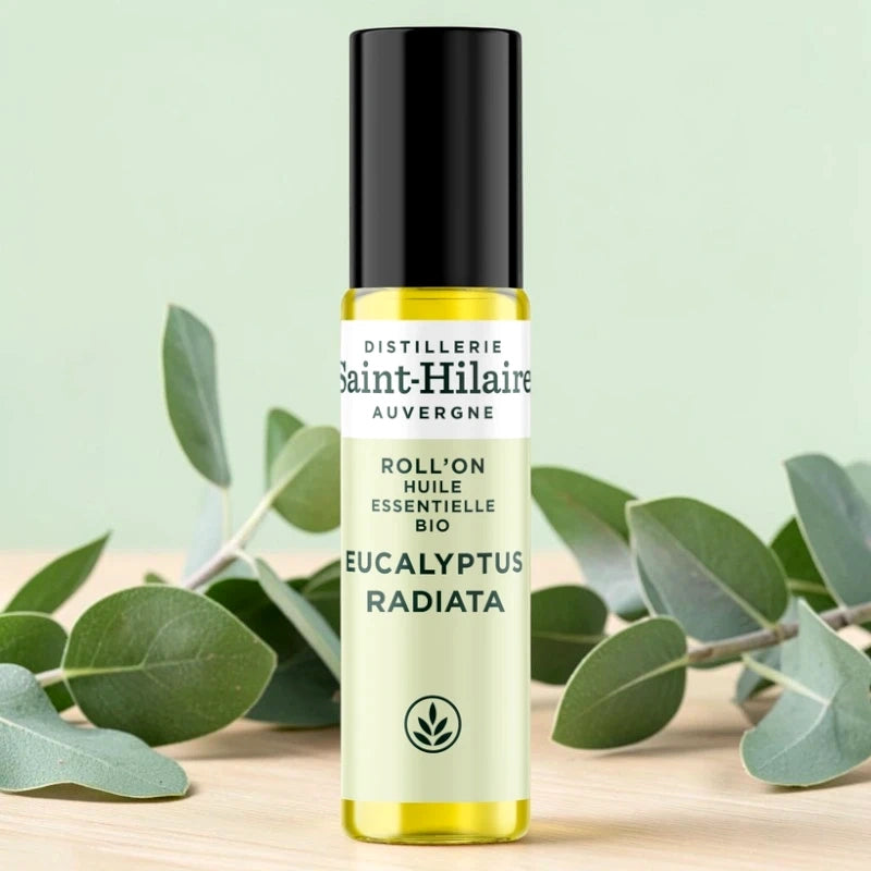 Roll-on Eucalyptus radiata BIO