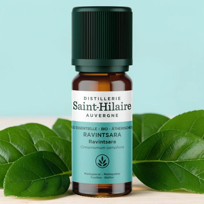 Ätherisches Öl Ravintsara BIO – 10ml