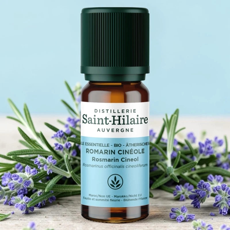 Ätherisches Öl Cineol-Rosmarin BIO – 10ml