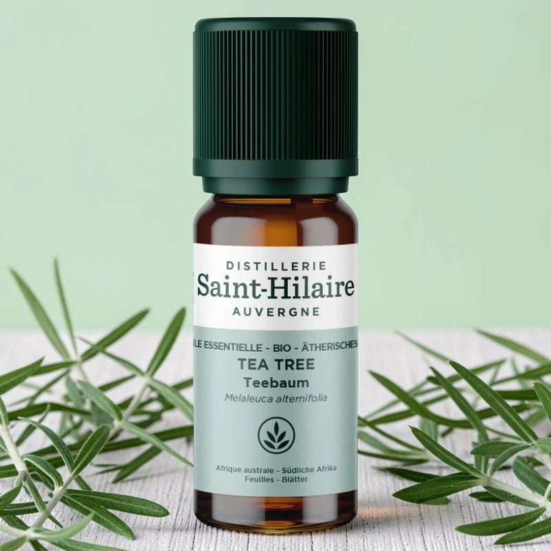 Ätherisches Öl Teebaum BIO – 10ml
