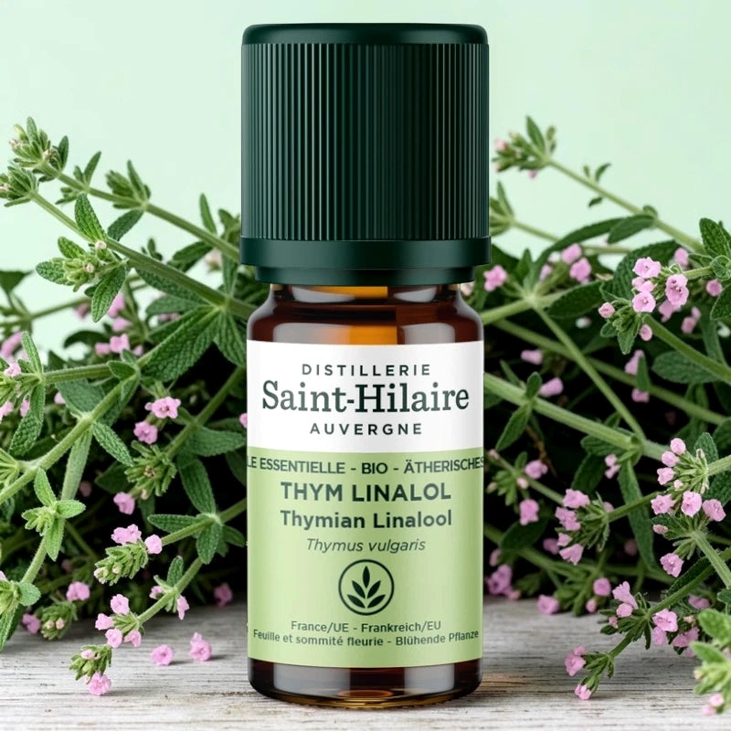 Ätherisches Öl Linalool-Thymian BIO
