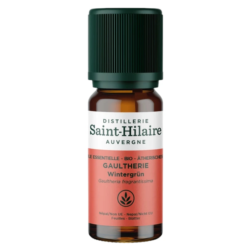 Ätherisches Öl Gaultheria BIO – 10ml