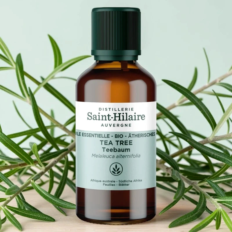 Ätherisches Öl Teebaum BIO – 30ml