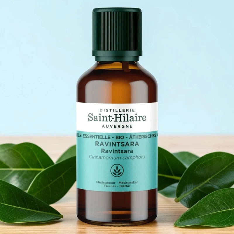 Ätherisches Öl Ravintsara BIO – 30ml