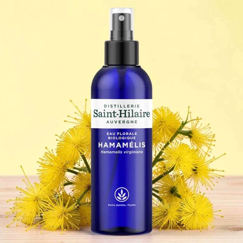 Hamamelis-Hydrolat BIO