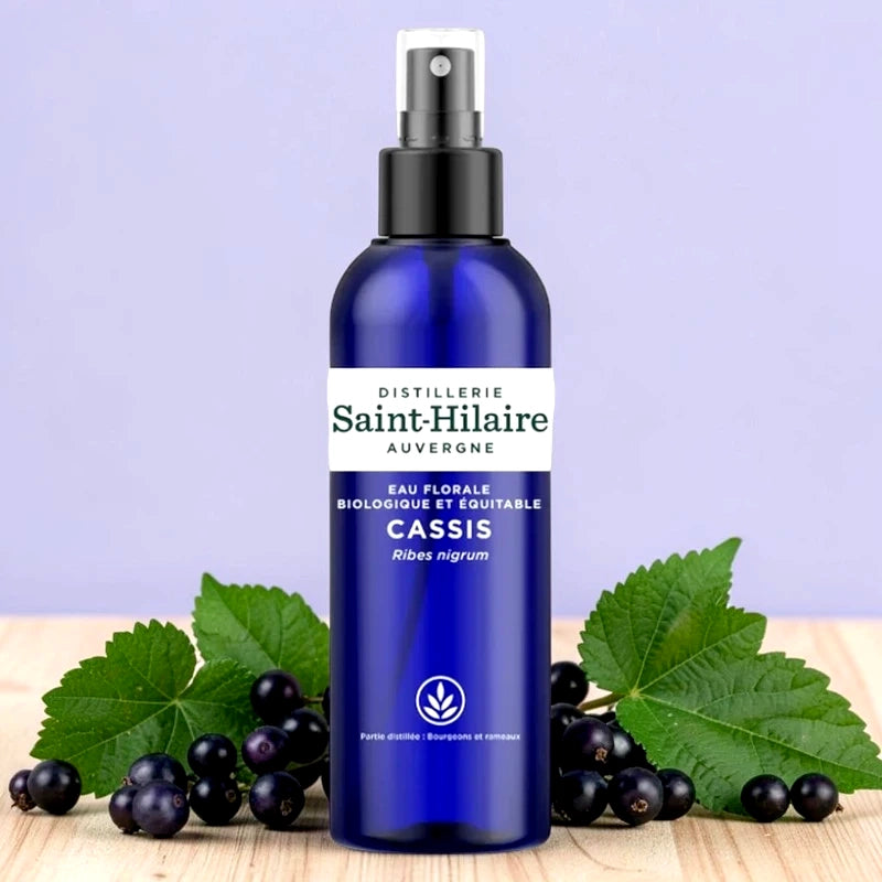 Schwarze-Johannisbeere-Hydrolat BIO
