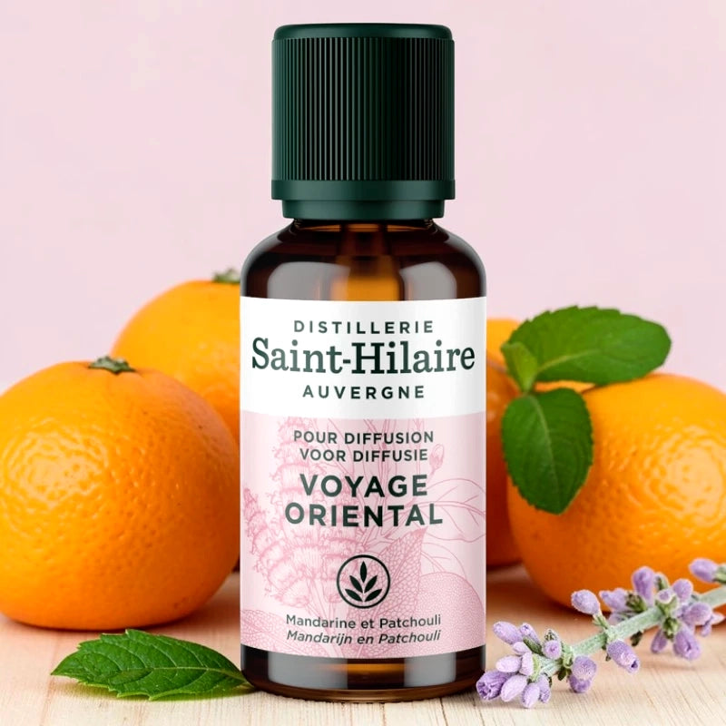 Ätherische-Öl-Synergie Orientalische Reise BIO