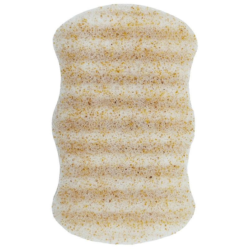 Éponge Konjac corps coques de noix