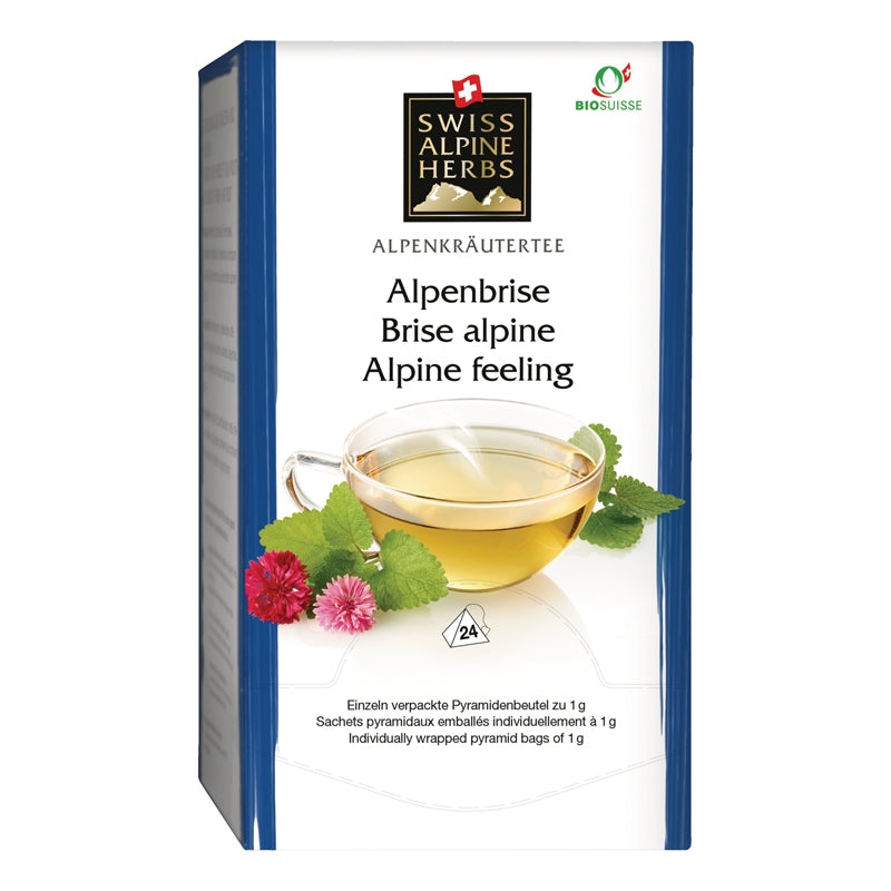 Infusion brise alpine BIO 24 sachets