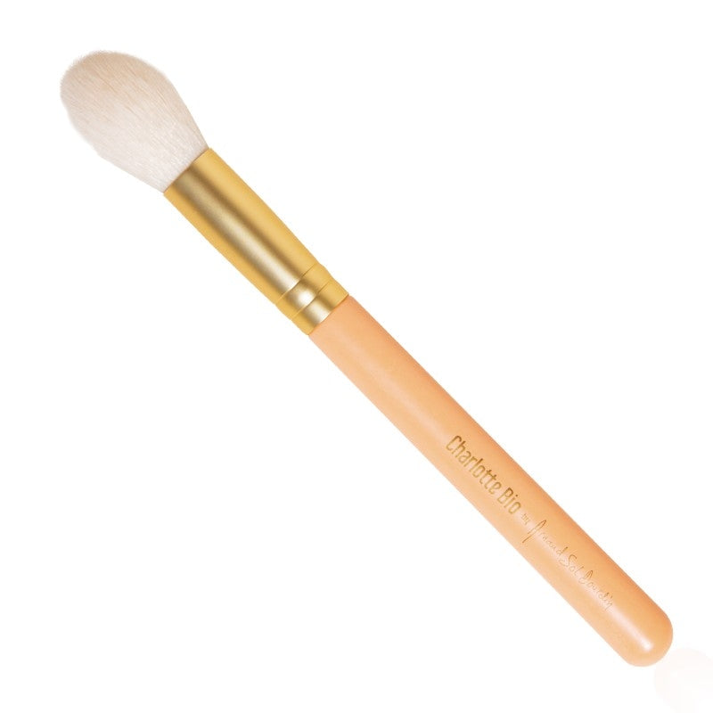 Charlotte Bio - Pinceau palette bonne mine Arnaud Sol Dourdin 1 pièce