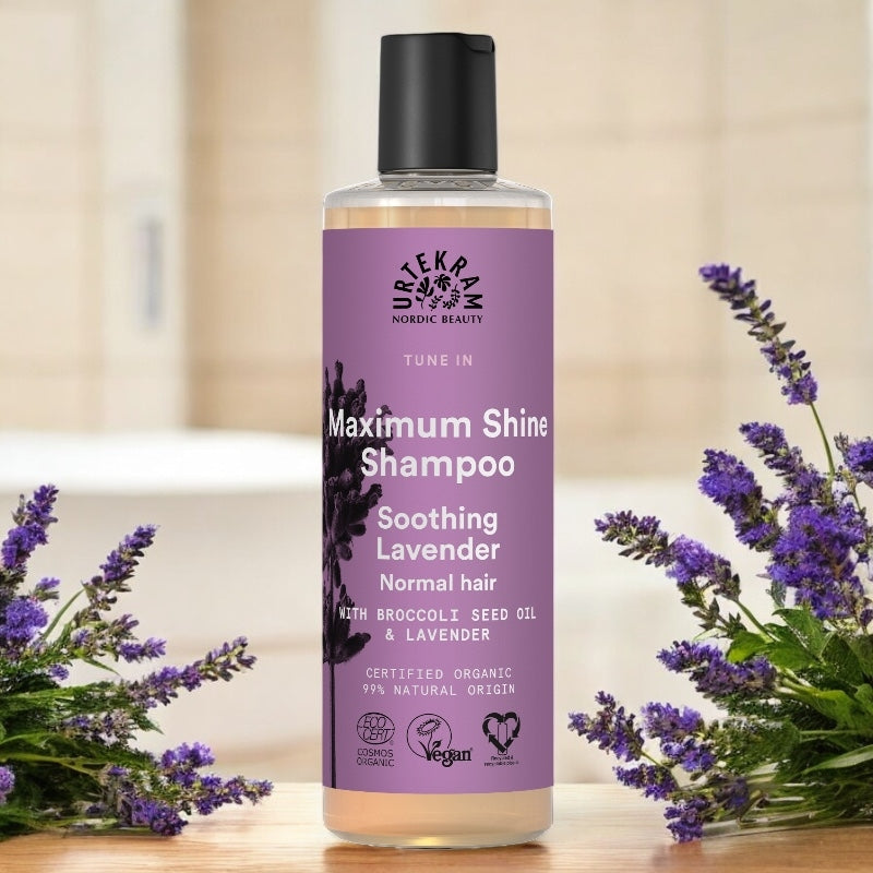 Glanz Shampoo mit Lavendel BIO - 250ml