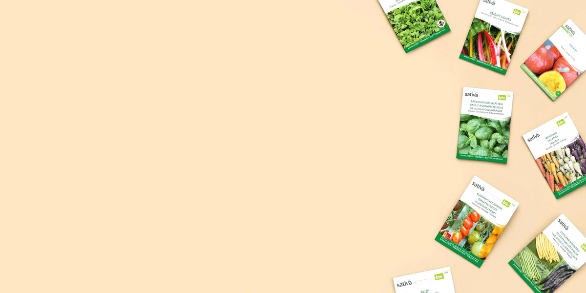 Sativa Rheinau : semences bio et biodynamiques suisses depuis 1999