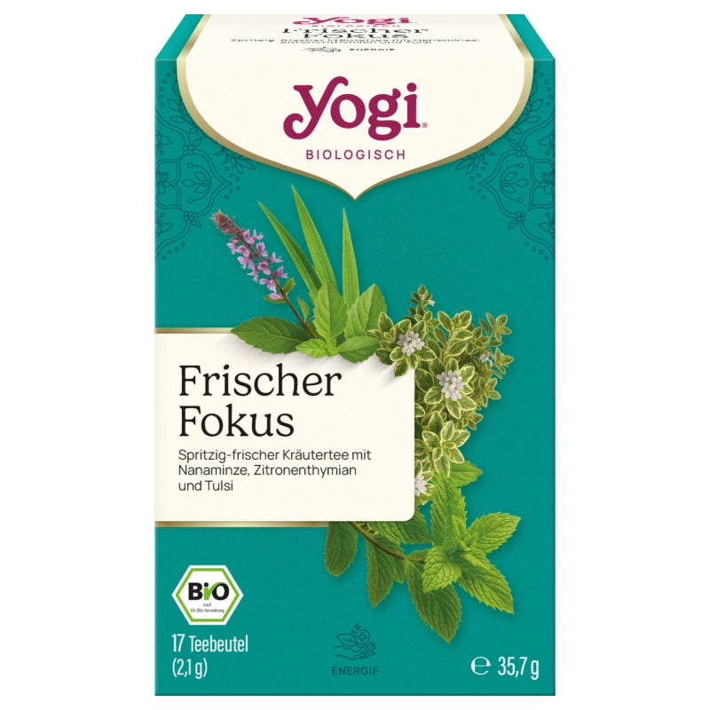 Kräutertee Minze, Zitronenthymian & Tulsi Frischer Fokus BIO