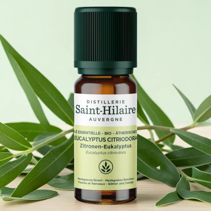 Ätherisches Öl Zitronen-Eukalyptus BIO – 10ml