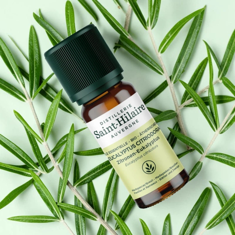 Ätherisches Öl Zitronen-Eukalyptus BIO – 10ml