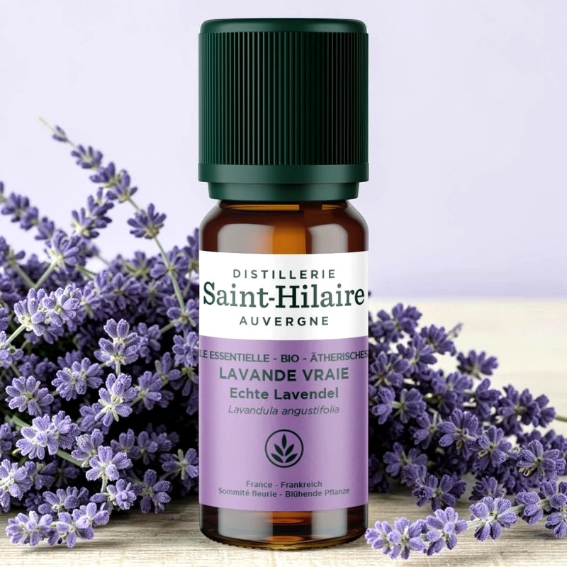 Huile essentielle Lavande vraie BIO - 10ml
