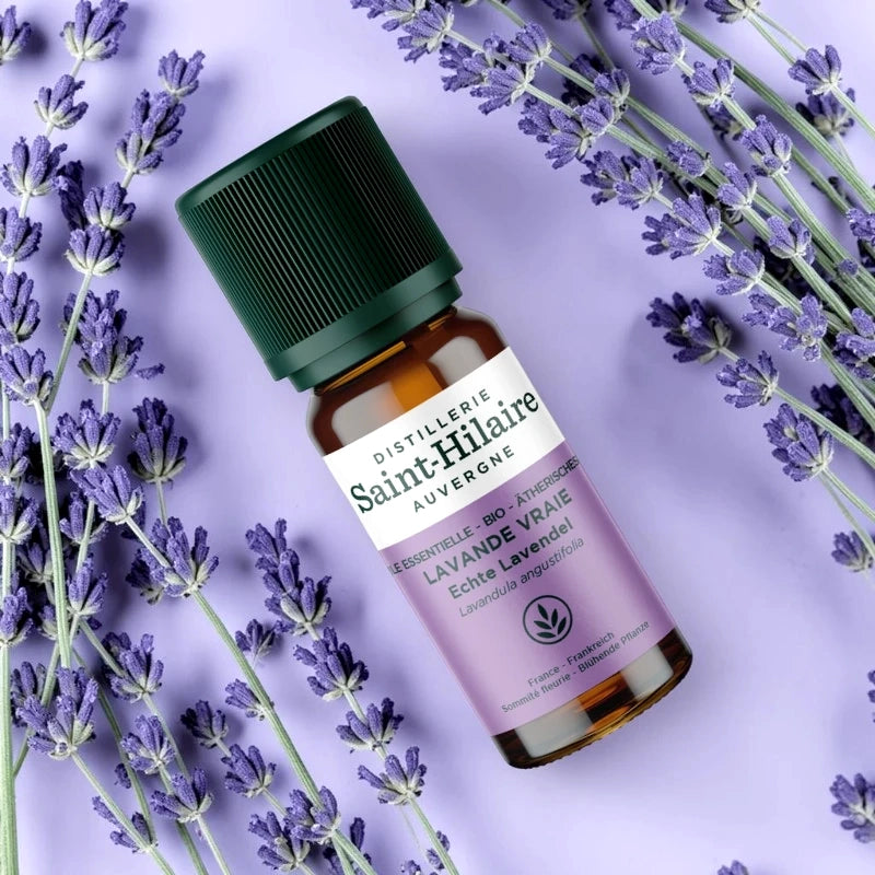 Huile essentielle Lavande vraie BIO - 10ml