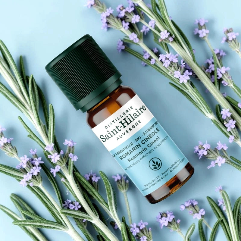 Ätherisches Öl Cineol-Rosmarin BIO – 10ml