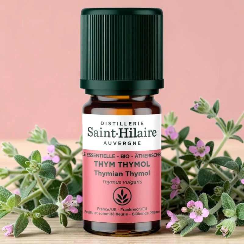 Huile essentielle Thym thymol BIO