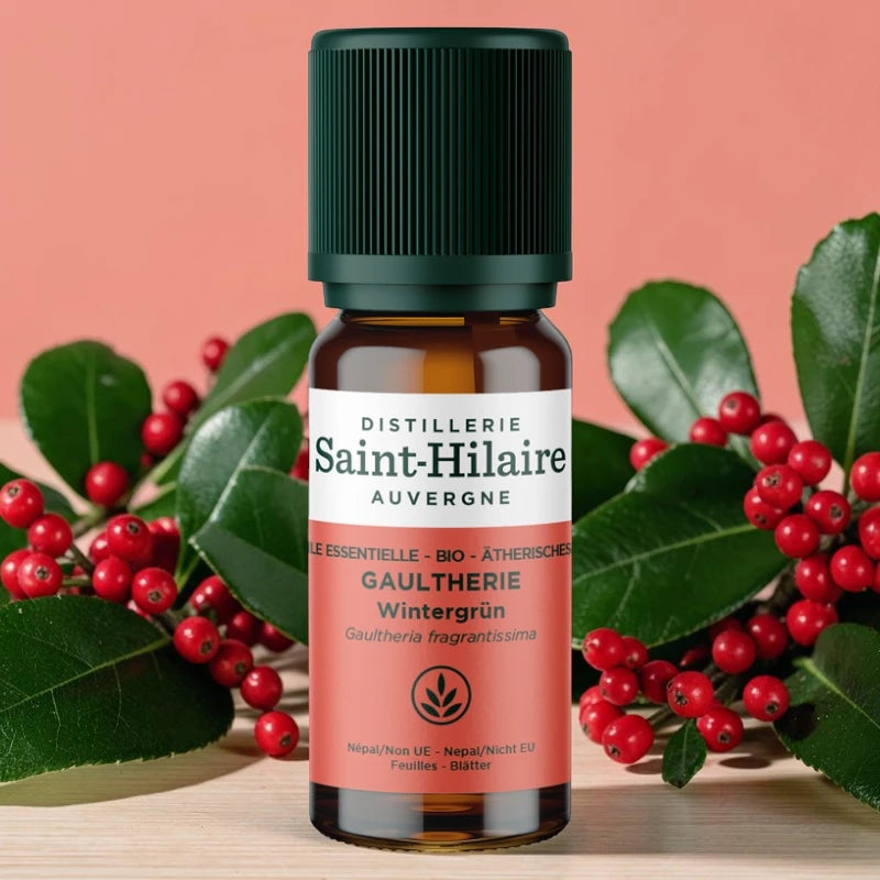 Ätherisches Öl Gaultheria BIO – 10ml