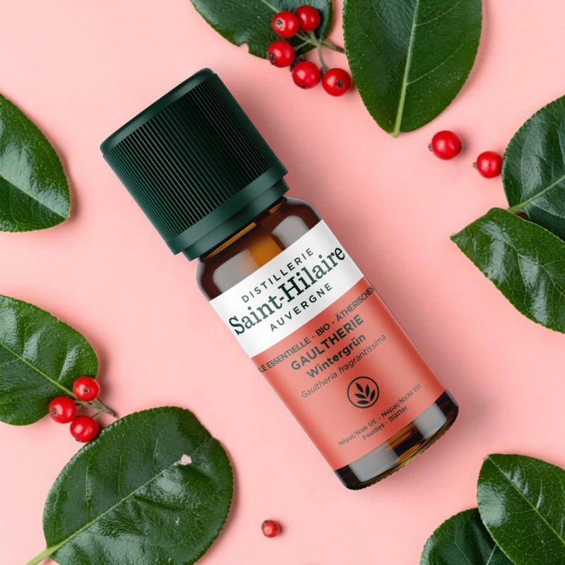 Ätherisches Öl Gaultheria BIO – 10ml