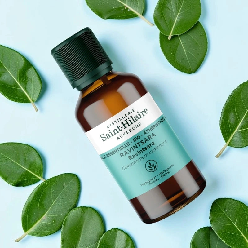 Ätherisches Öl Ravintsara BIO – 30ml