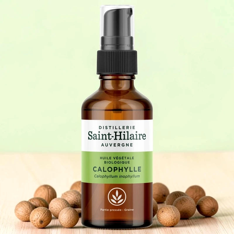Huile de calophylle BIO