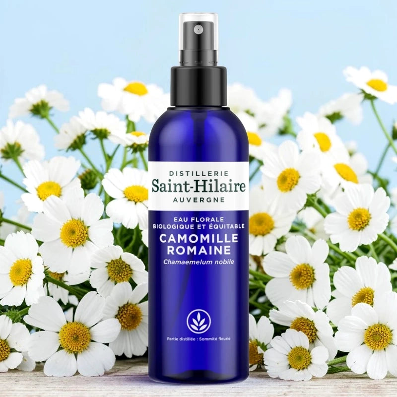 Römische-Kamille-Hydrolat BIO