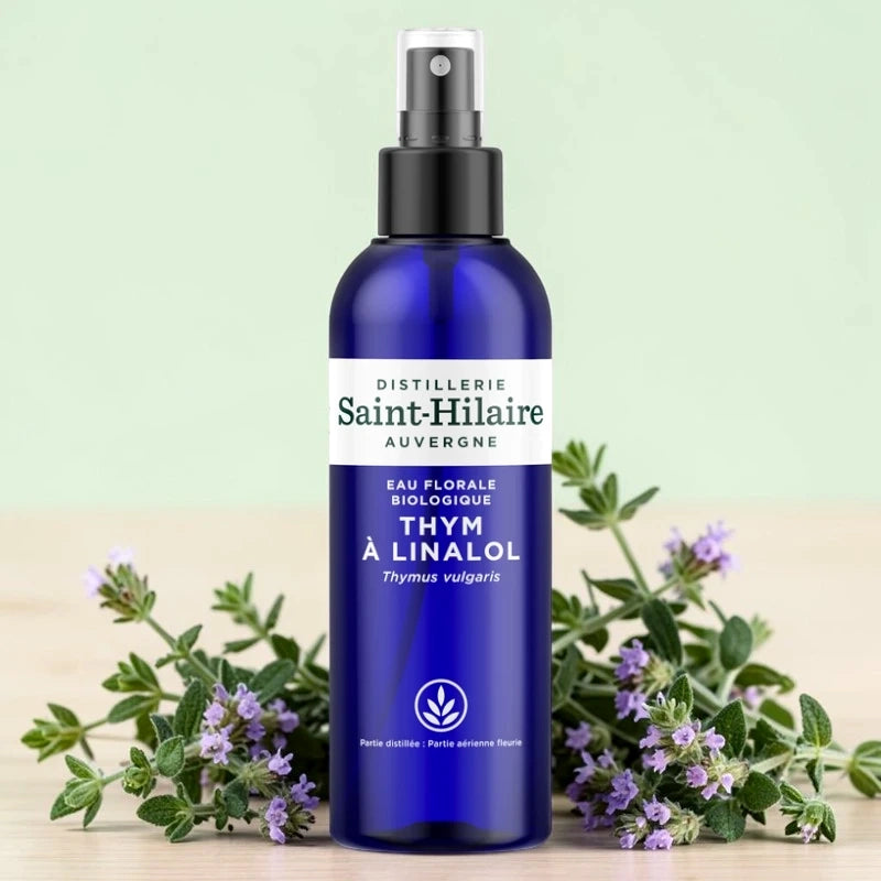 Thymian-Linalool-Hydrolat BIO