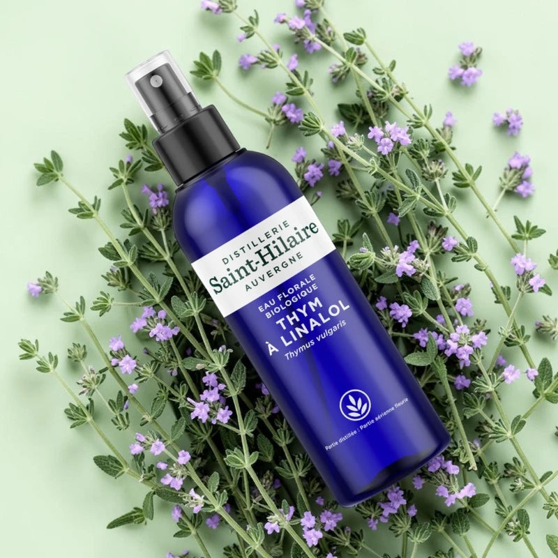 Thymian-Linalool-Hydrolat BIO