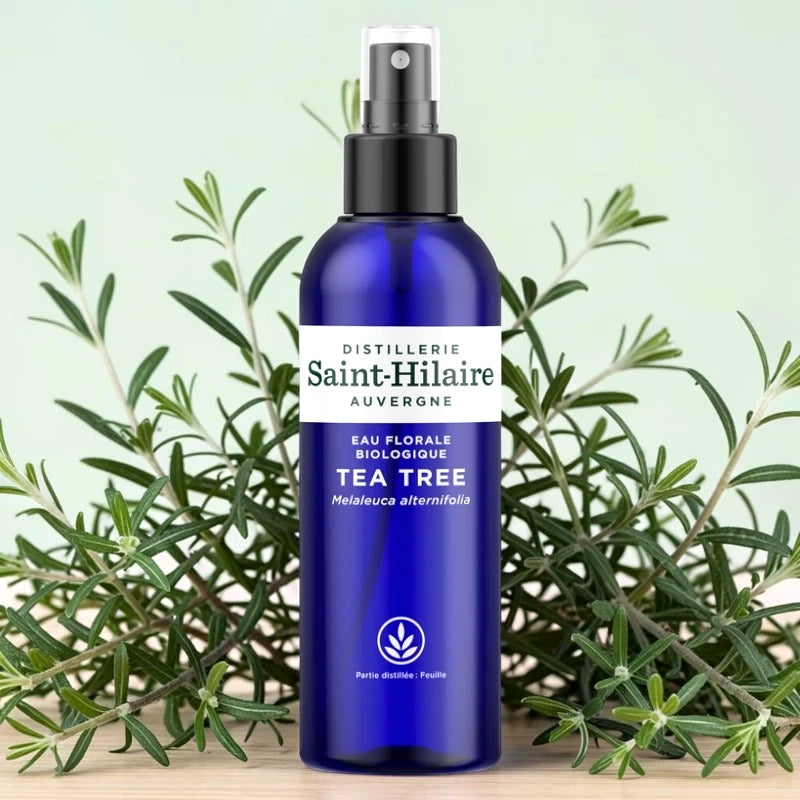 Eau florale de tea tree BIO