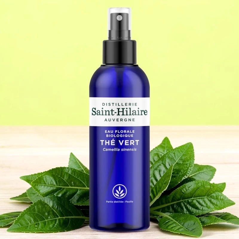 Grüntee-Hydrolat BIO