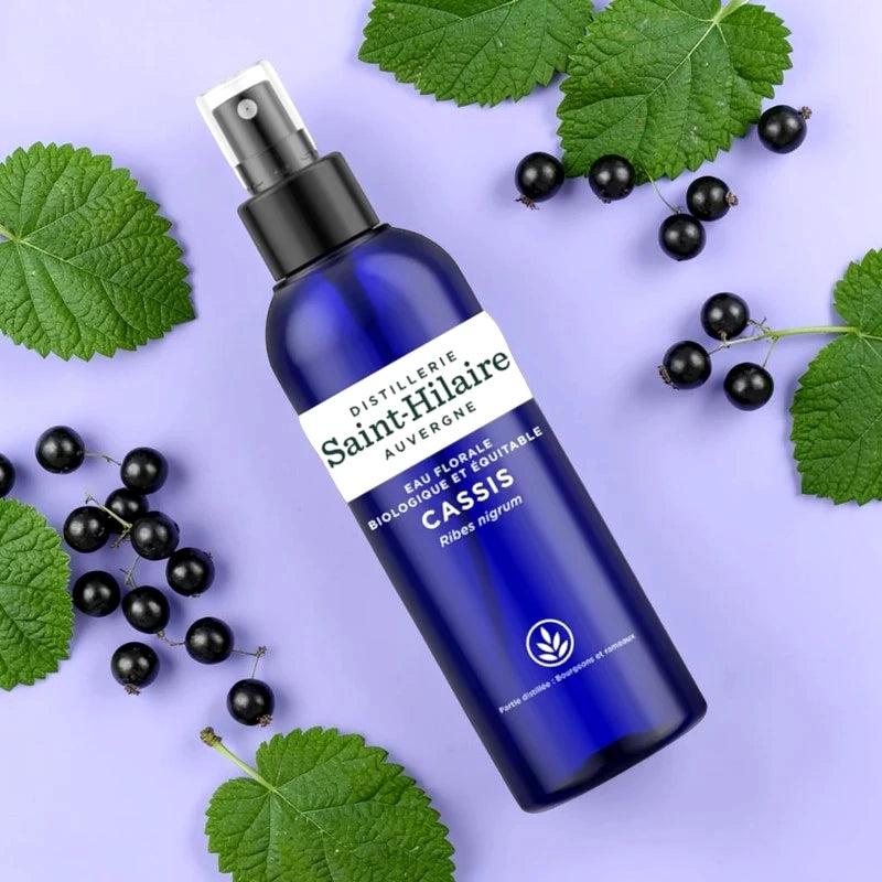 Schwarze-Johannisbeere-Hydrolat BIO