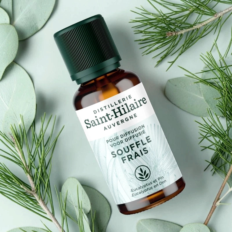 Ätherische-Öl-Synergie Frischer Hauch BIO