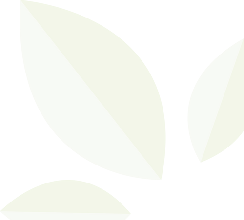 La feuille du logo de Green-Shop.ch