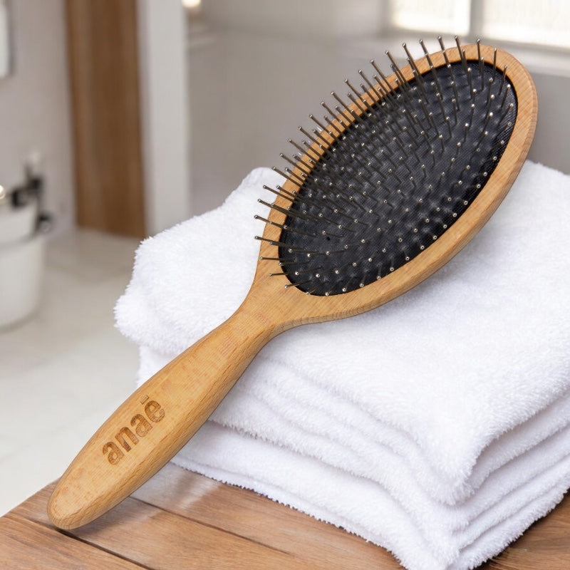 Anaé - Brosse plate à picots d'acier