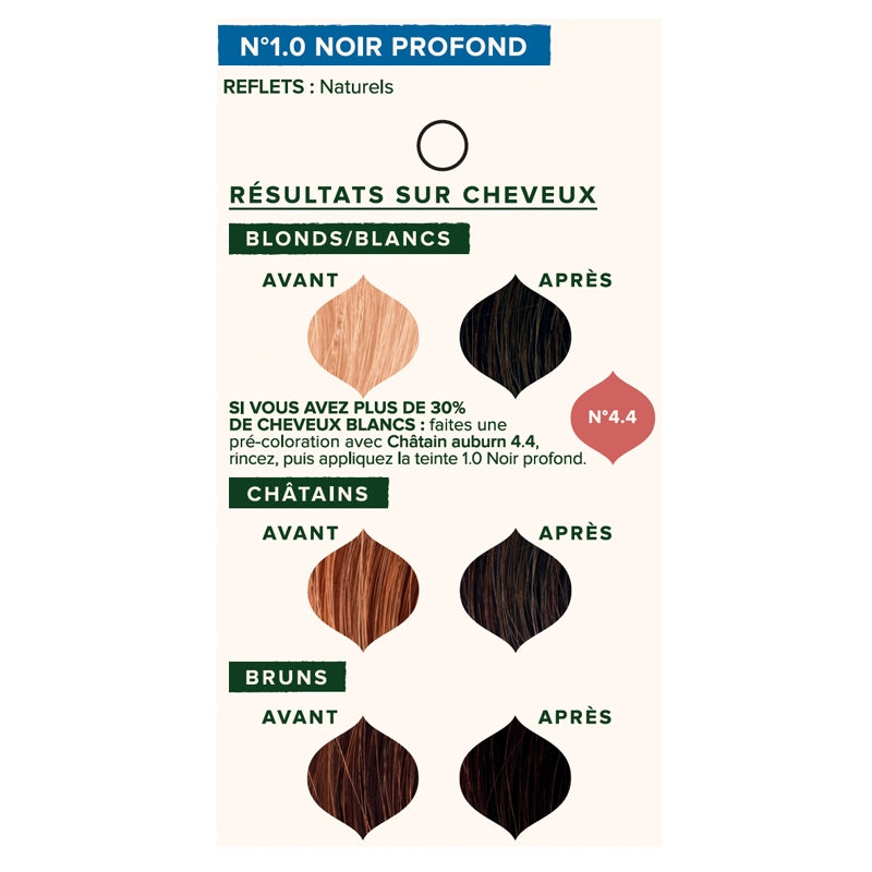 Emblica - Pflanzenhaarfarbe Nr. 1.0 Tiefschwarz BIO 100g