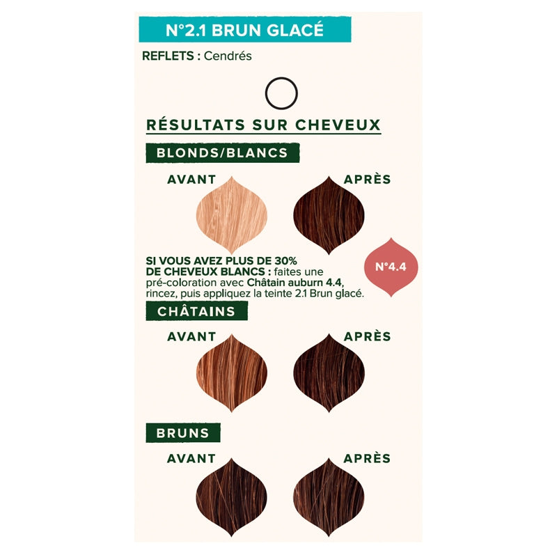 Emblica - Coloration végétale BIO N°2.1 brun glacé 100g