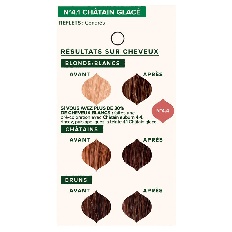 Emblica - Coloration végétale BIO N°4.1 châtain glacé 100g