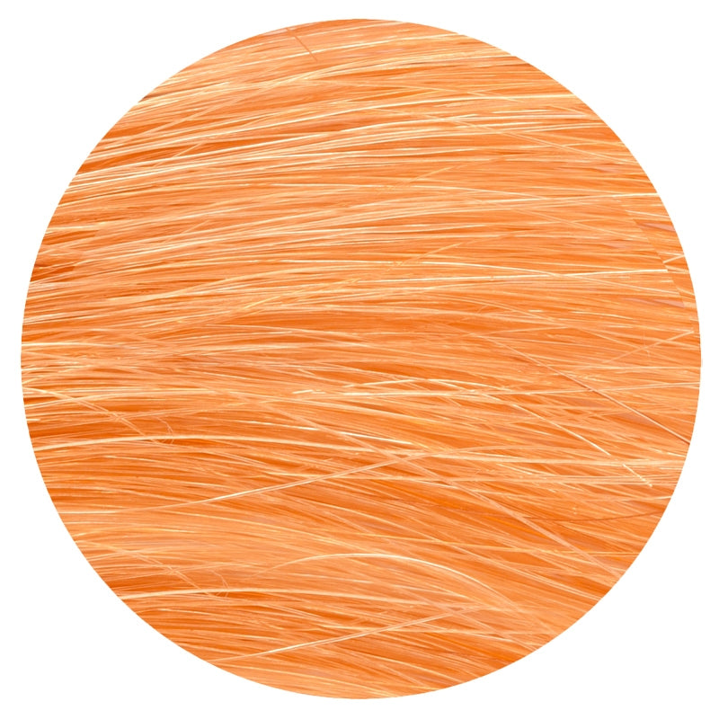 Emblica - Pflanzenhaarfarbe Nr. 7.3 Bernsteinblond BIO 100g