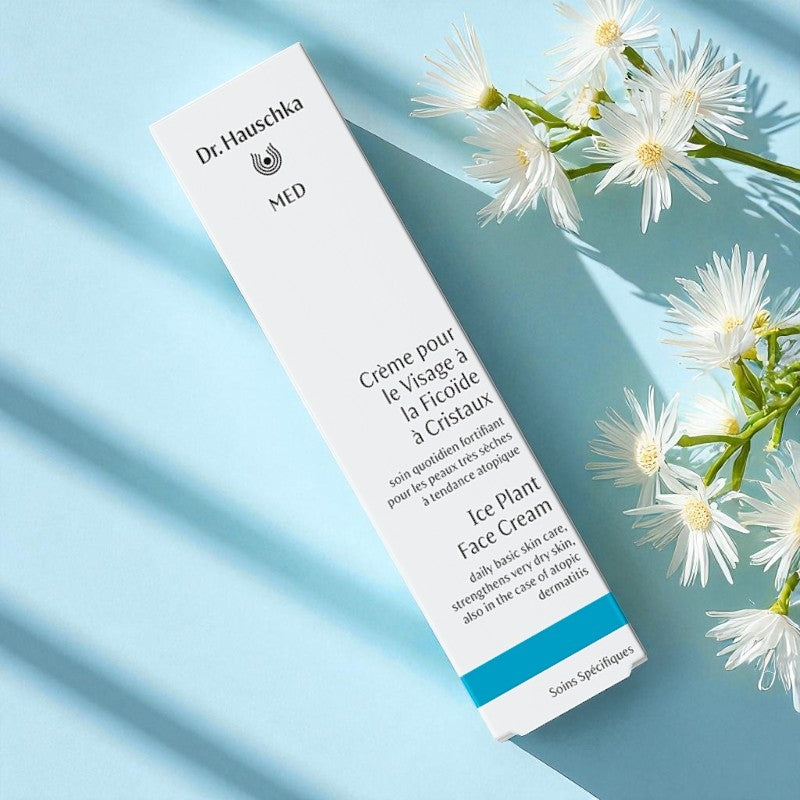 Dr. Hauschka - Intensiv Gesichtscreme Eiskraut 40ml