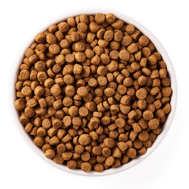 Croquettes poulet & céréales pour chien de petites races BIO