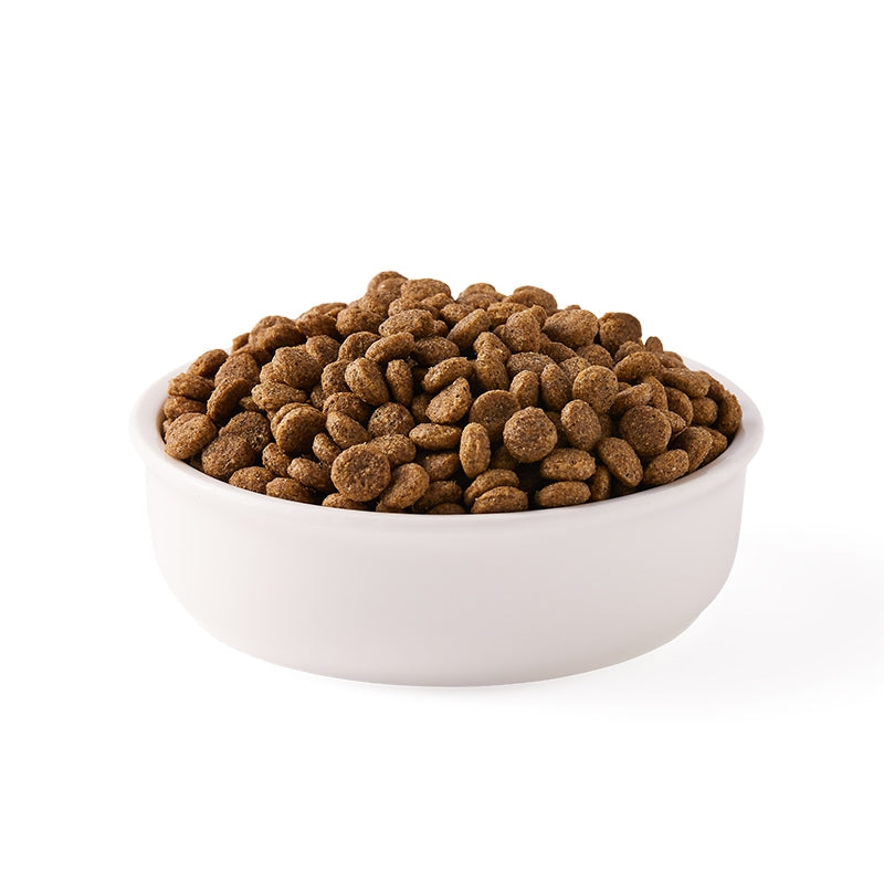 Croquettes poulet & poisson sans blé pour chat BIO - 2,4kg