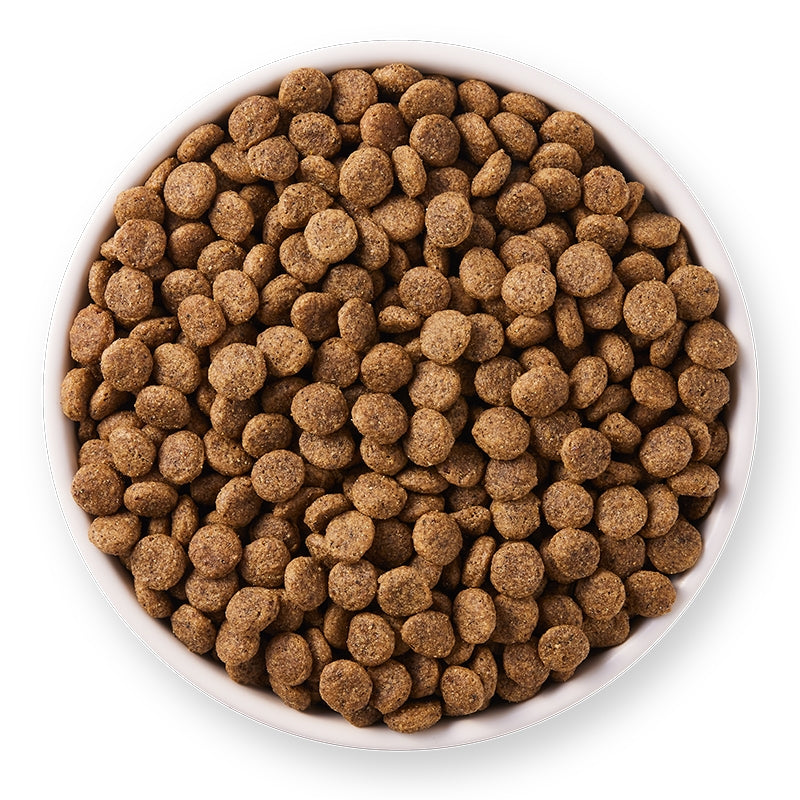 Croquettes poulet & poisson sans blé pour chat BIO - 2,4kg