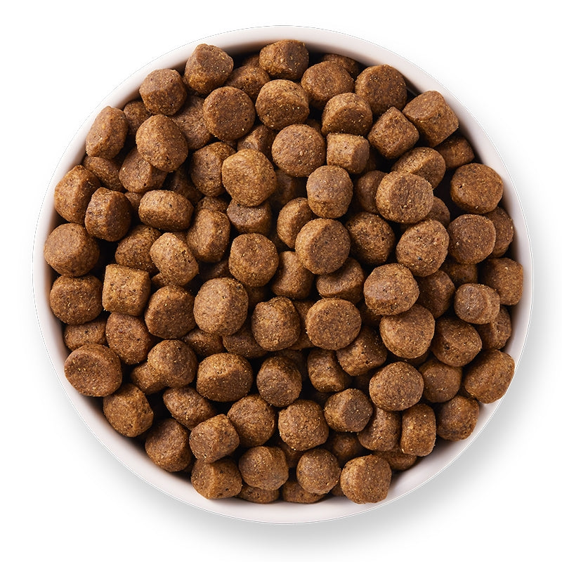 Bio-Hundefutter mit Huhn, getreidefrei, 10 kg - Yarrah