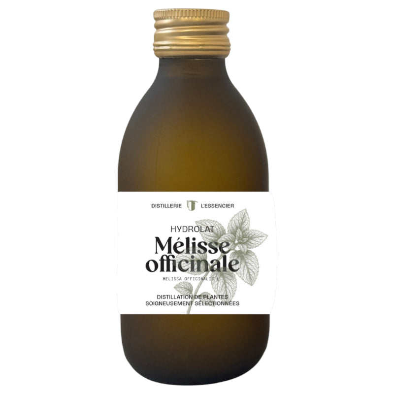 Hydrolat BIO Mélisse officinale