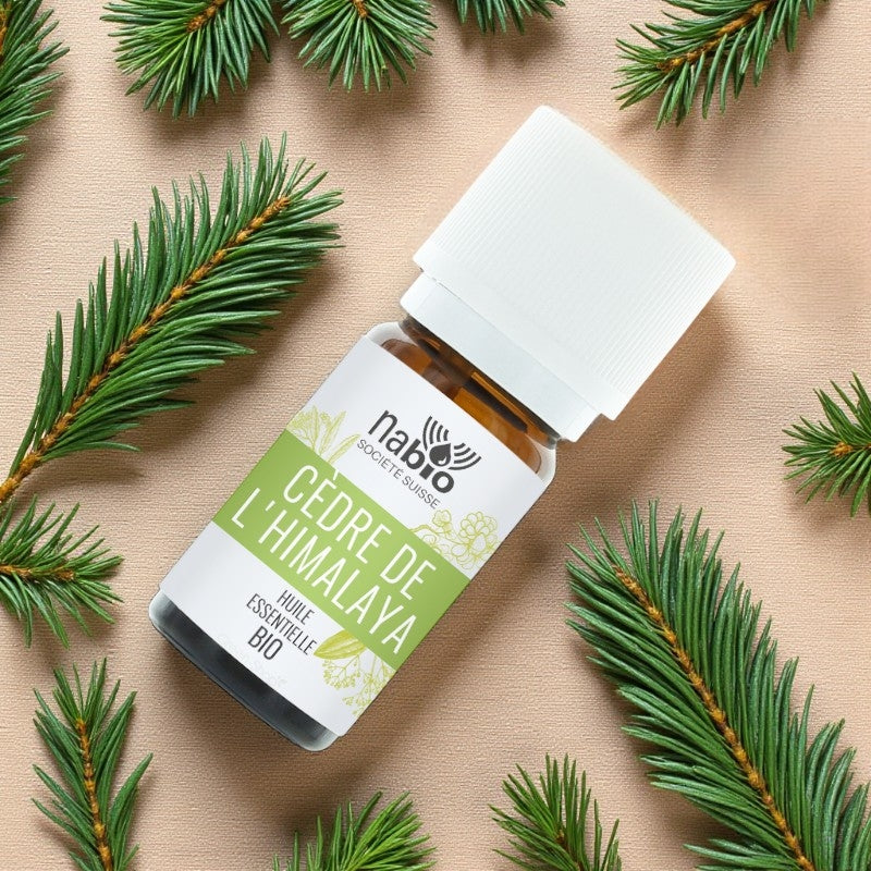 Huile essentielle BIO Cèdre de l'Himalaya