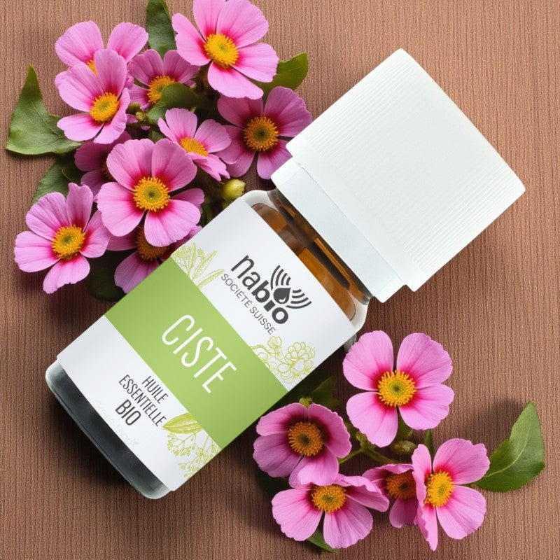 Huile essentielle BIO Ciste
